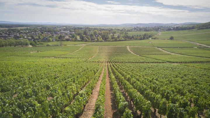 Vin de Bourgogne Saint-Mard-de-Vaux